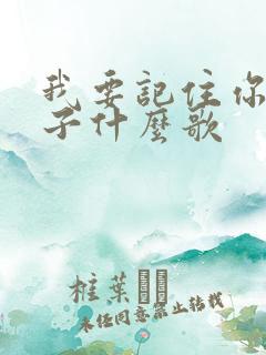 我要记住你的样子什么歌