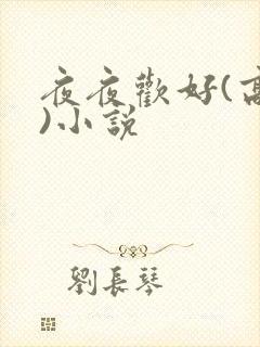 夜夜欢好(高h)小说