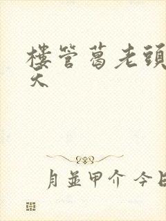 楼管葛老头的春天