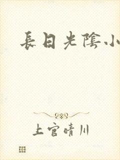 长日光阴小说