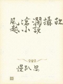 风沧澜摄政王穿越小说