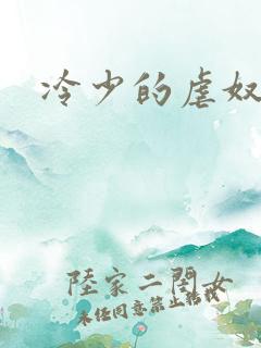 冷少的虐奴