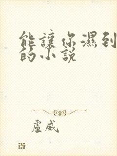 能让你湿到不行的小说