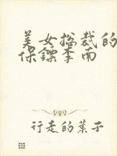 美女总裁的护花保镖李南