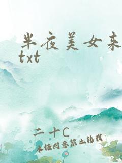 半夜美女来敲门txt
