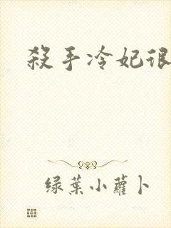 杀手冷妃很腹黑