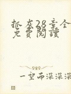 抓灰28章全部免费阅读