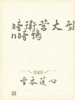 暗卫营大型hpn暗鸦