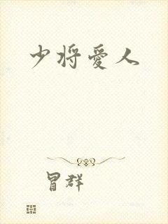 少将爱人
