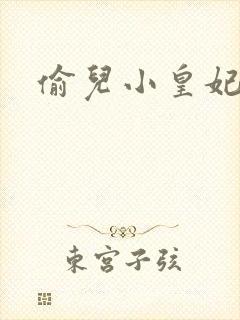 偷儿小皇妃