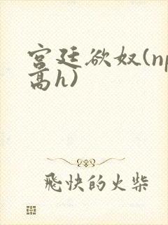 宫廷欲奴(np高h)
