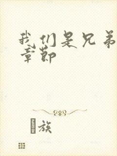 我们是兄弟最新章节