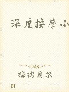 深度按摩小说