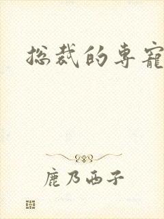 总裁的专宠床奴