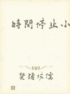 时间停止小说