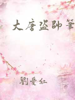 大唐盗帅笔趣阁
