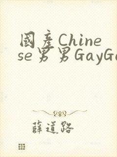 国产Chinese男男GayGayAPP