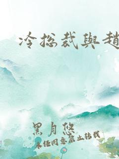 冷总裁与赵大牌