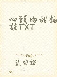 心头肉甜柚子小说TXT