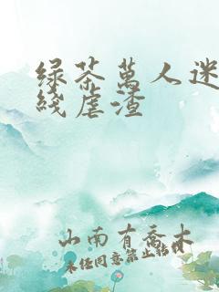 绿茶万人迷他在线虐渣