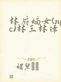 林府嫡女(npc)林玉林璋