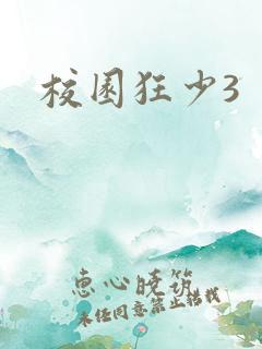 校园狂少3