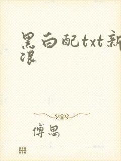 黑白配txt新浪