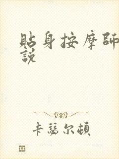 贴身按摩师 小说