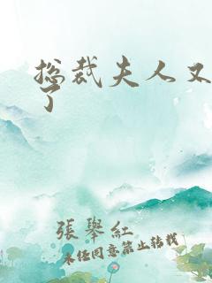 总裁夫人又征婚了