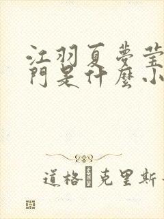 江羽夏梦莹神谕门是什么小说