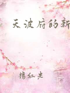 天波府的新姑爷