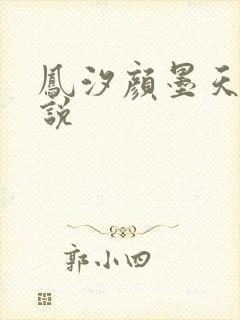 凤汐颜墨天问小说