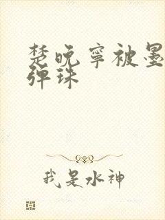 楚晚宁被墨燃塞弹珠