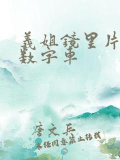 义姐镜里片微博数字车