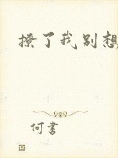 撩了我别想跑
