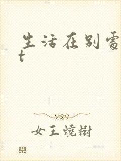 生活在别处txt