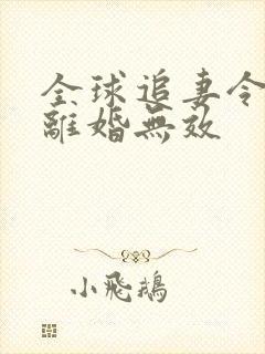 全球追妻令老婆离婚无效