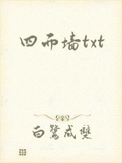 四面墙txt