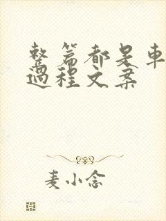 整篇都是车的肉过程文案