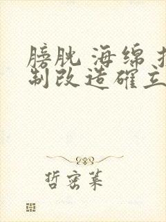 膀胱 海绵 控制改造确立m