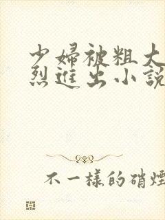 少妇被粗大的猛烈进出小说网