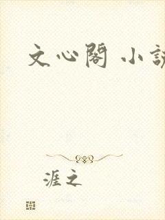 文心阁 小说