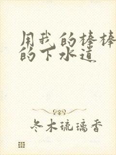 用我的棒棒通你的下水道