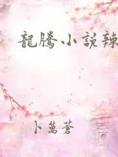 龙腾小说辣文网