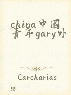 china中国青年gary外卖抖抖