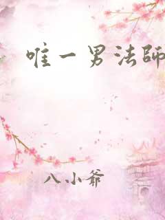 唯一男法师