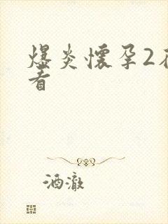 爆炎怀孕2在线看