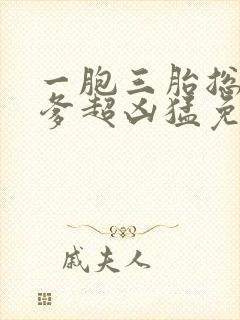 一胞三胎总裁爹爹超凶猛免费阅读