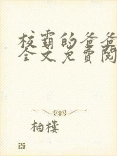 校霸的爸爸小说全文免费阅读