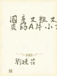 国产又粗又黄又爽的A片小说